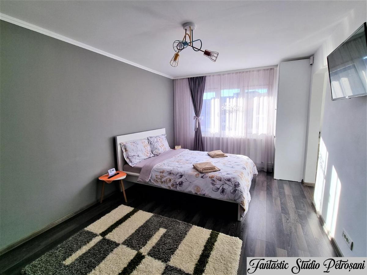 Апартаменты ~Fantastic Studio Petrosani~ Экстерьер фото