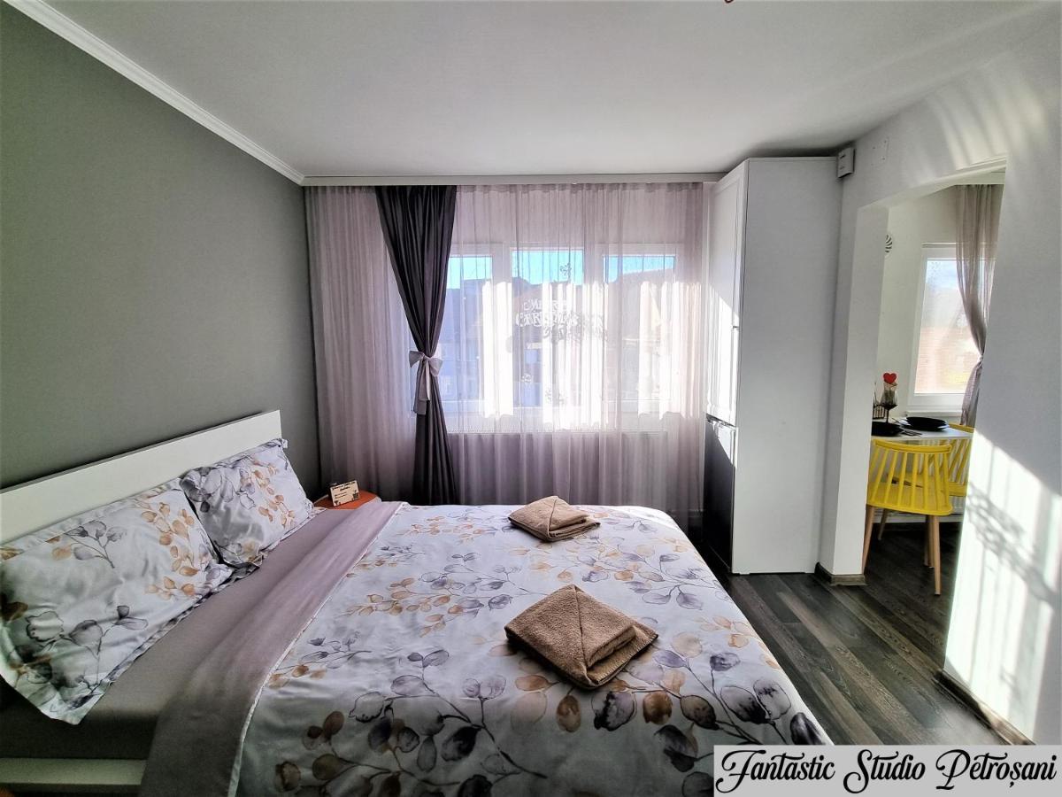 Апартаменты ~Fantastic Studio Petrosani~ Экстерьер фото