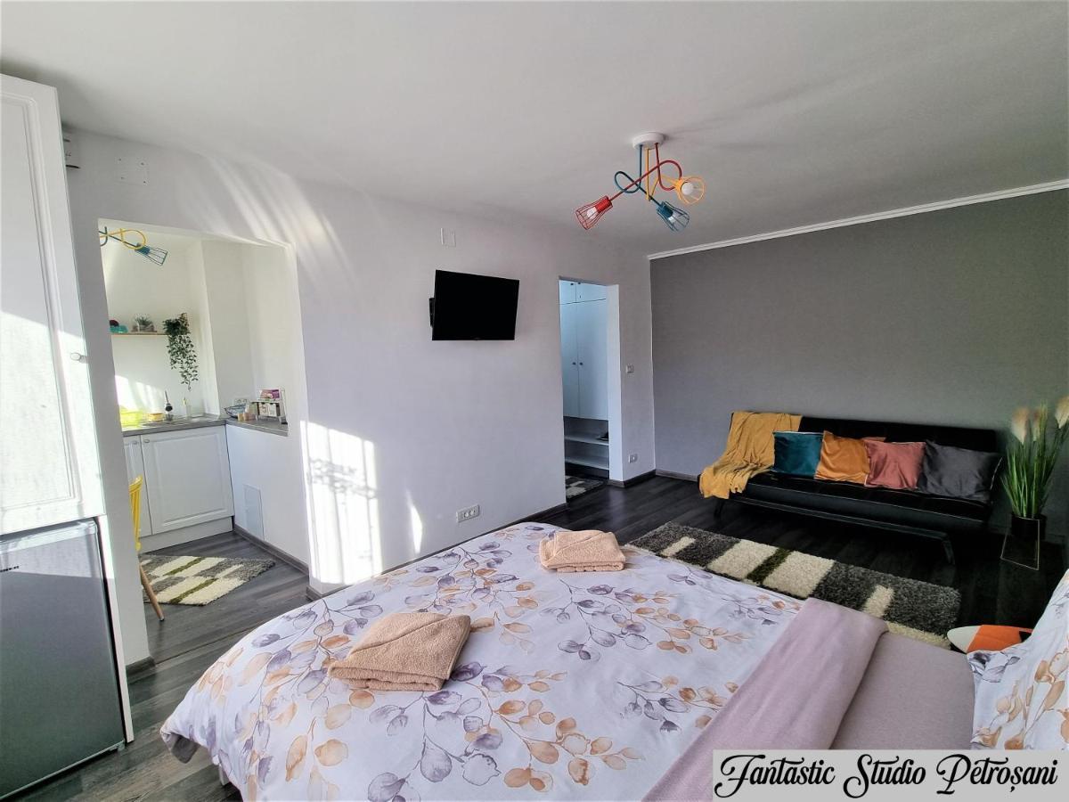 Апартаменты ~Fantastic Studio Petrosani~ Экстерьер фото