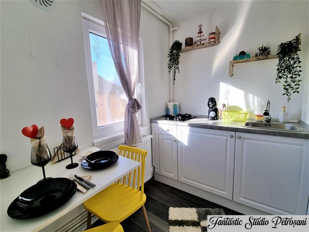 Апартаменты ~Fantastic Studio Petrosani~ Экстерьер фото