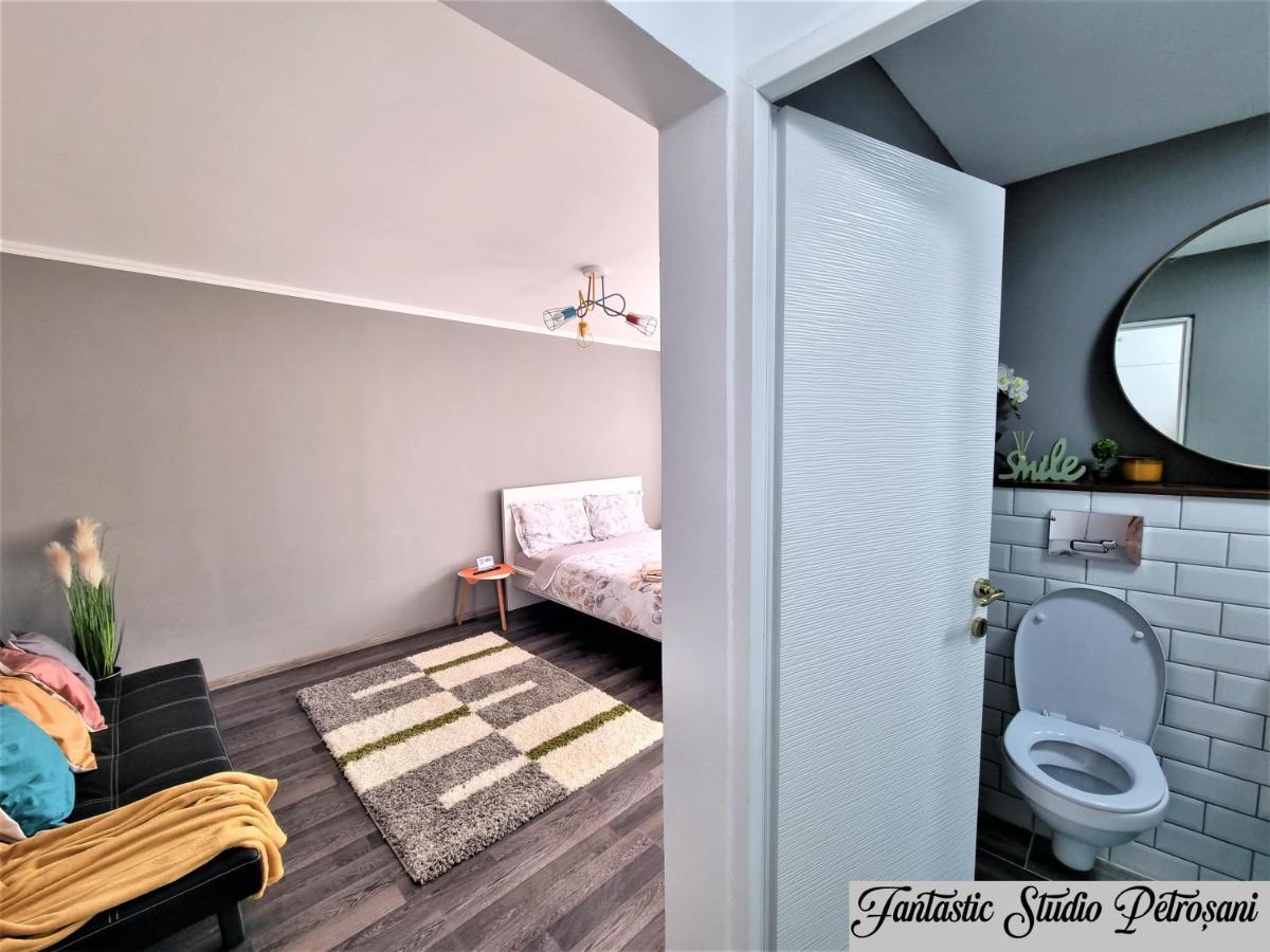 Апартаменты ~Fantastic Studio Petrosani~ Экстерьер фото
