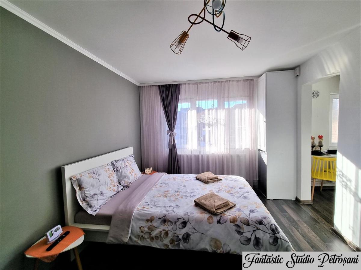 Апартаменты ~Fantastic Studio Petrosani~ Экстерьер фото